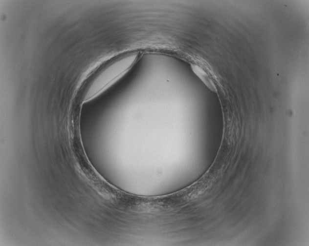 X0000081430680200701261823