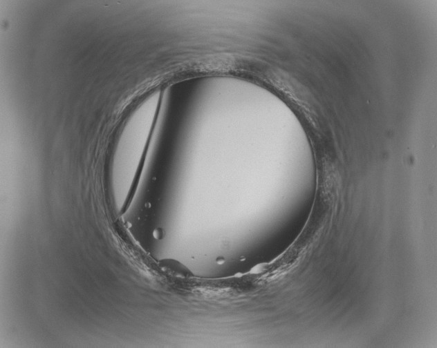 X0000081430681200701261823