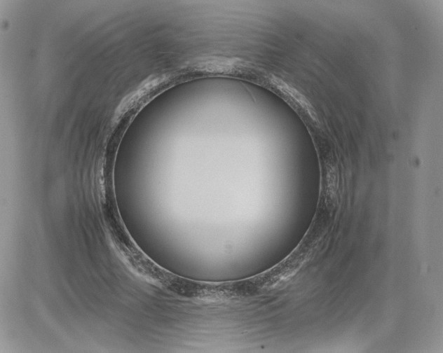 X0000081430682200701261823