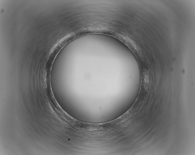 X0000081430684200701261823