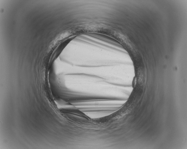 X0000081430685200701261823