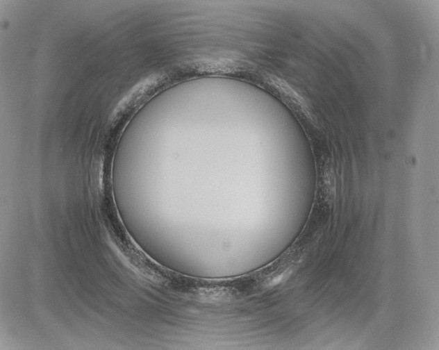 X0000081430686200701261823