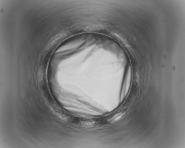 X0000081430687200701261823