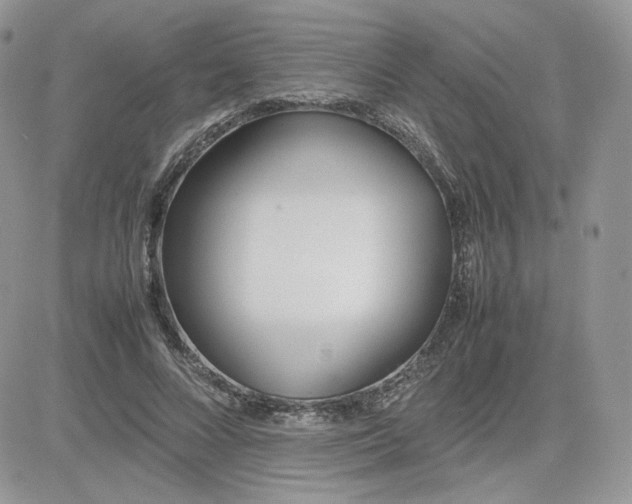 X0000081430688200701261823