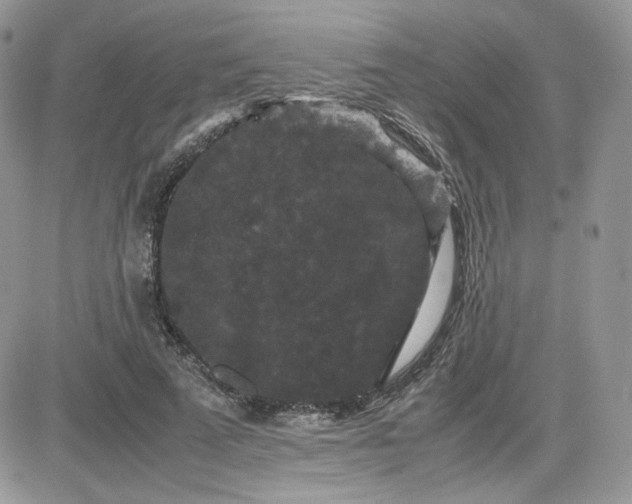 X0000081430689200701261823