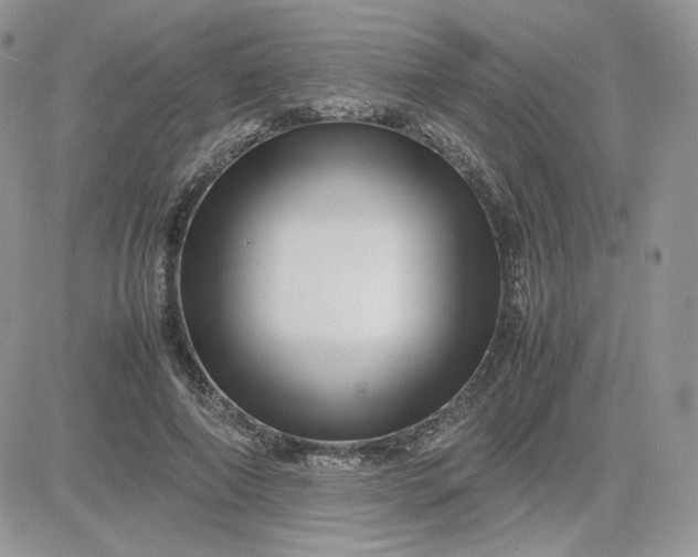 X0000081430690200701261823