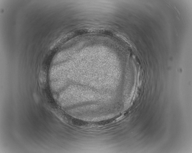 X0000081430691200701261823