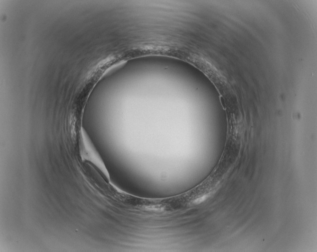 X0000081430692200701261823