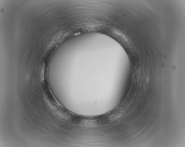 X0000081430694200701261823