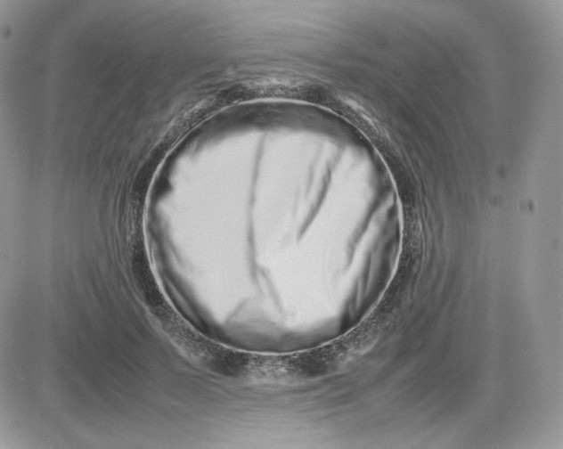 X0000081430695200701261823