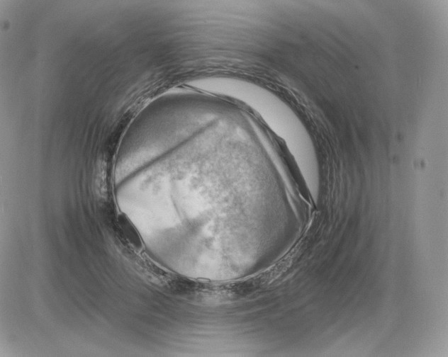 X0000081430696200701261823