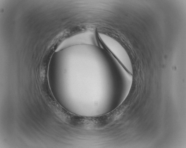 X0000081430697200701261823