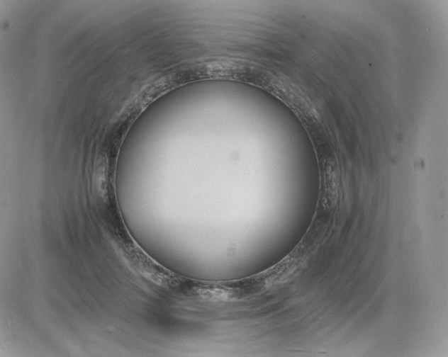 X0000081430698200701261823