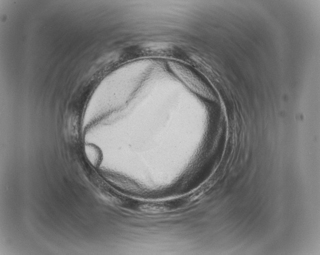 X0000081430699200701261823