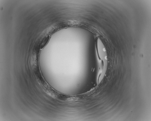 X0000081430700200701261823