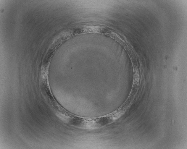 X0000081430701200701261823