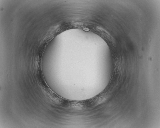 X0000081430702200701261823