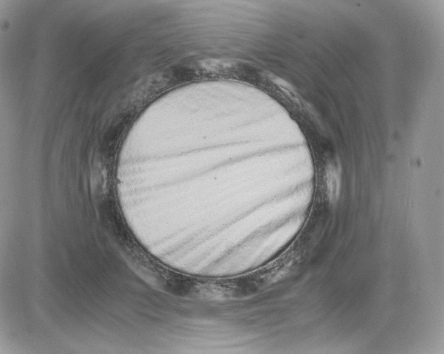 X0000081430703200701261823