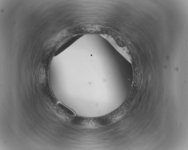 X0000081430704200701261823