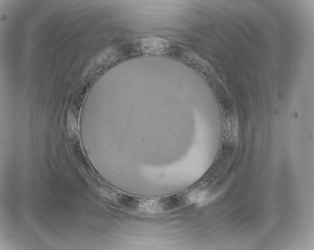 X0000081430705200701261823