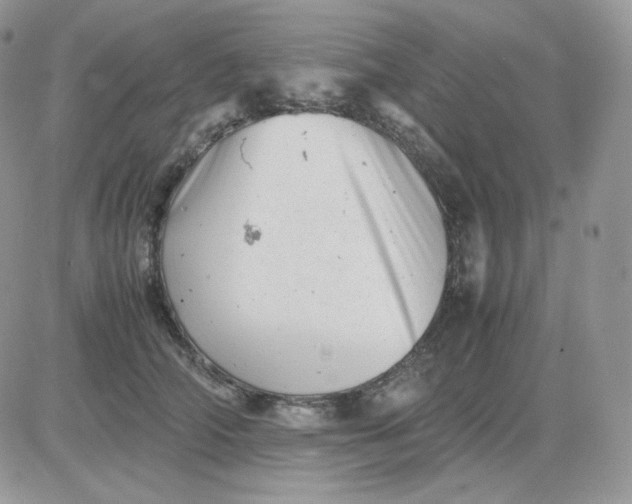 X0000081430706200701261823