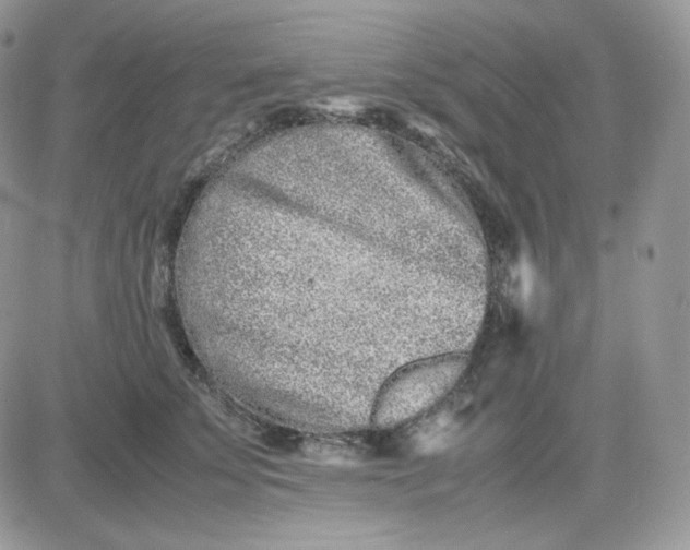 X0000081430707200701261823