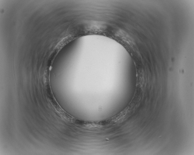 X0000081430708200701261823