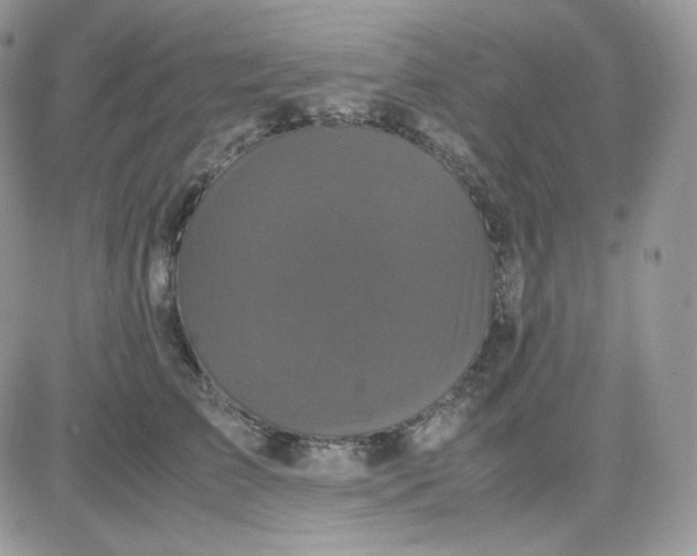 X0000081430709200701261823