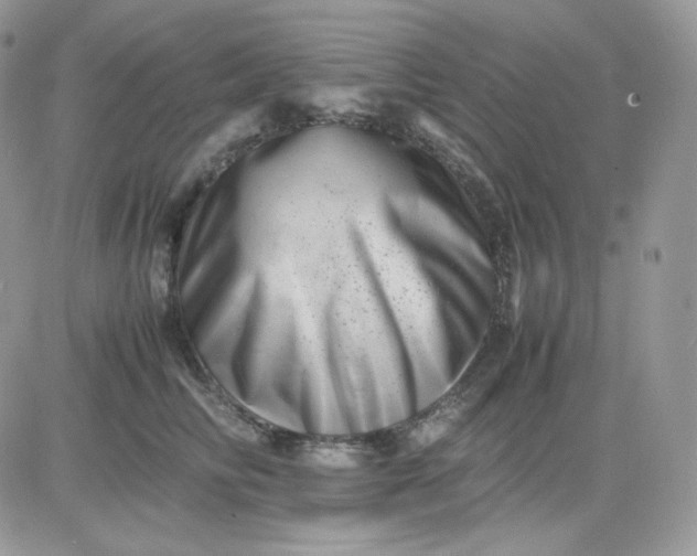 X0000081430710200701261823