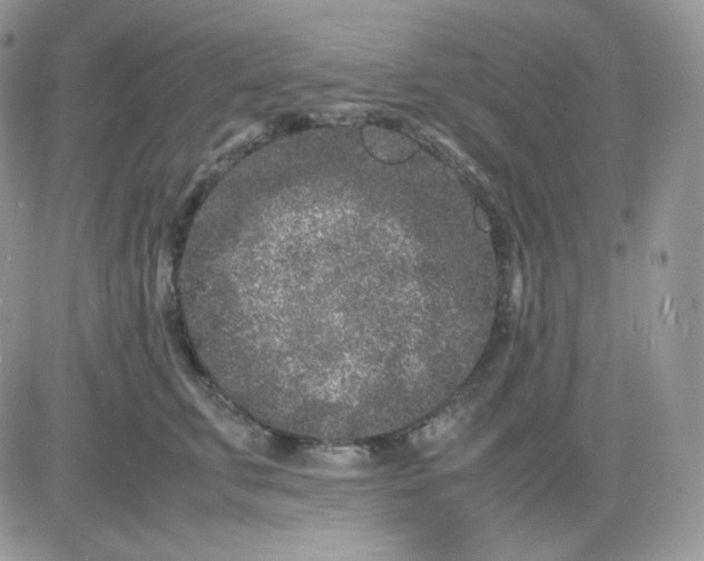 X0000081430711200701261823