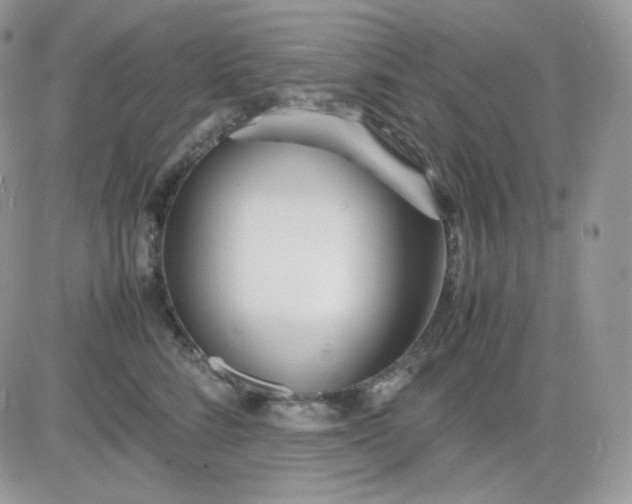 X0000081430712200701261823