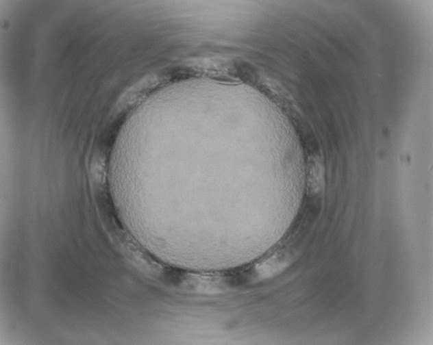 X0000081430713200701261822