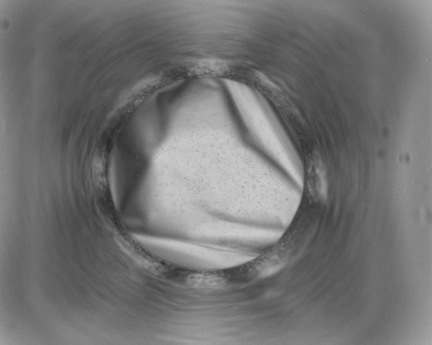 X0000081430714200701261822