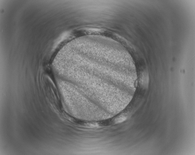 X0000081430715200701261822