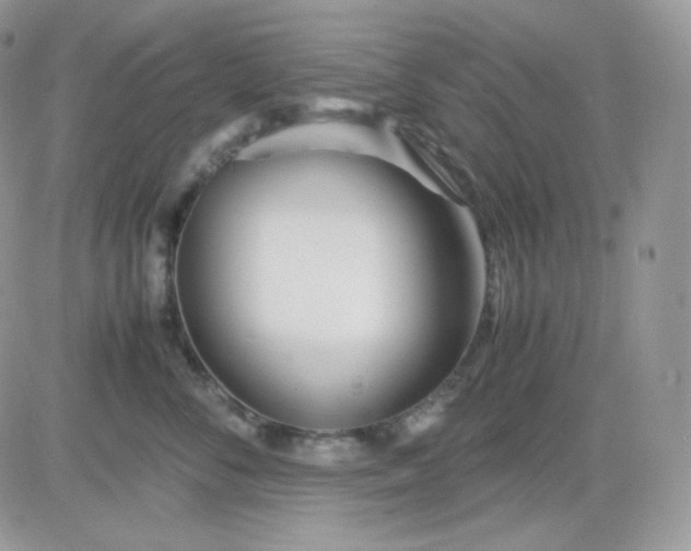 X0000081430716200701261822