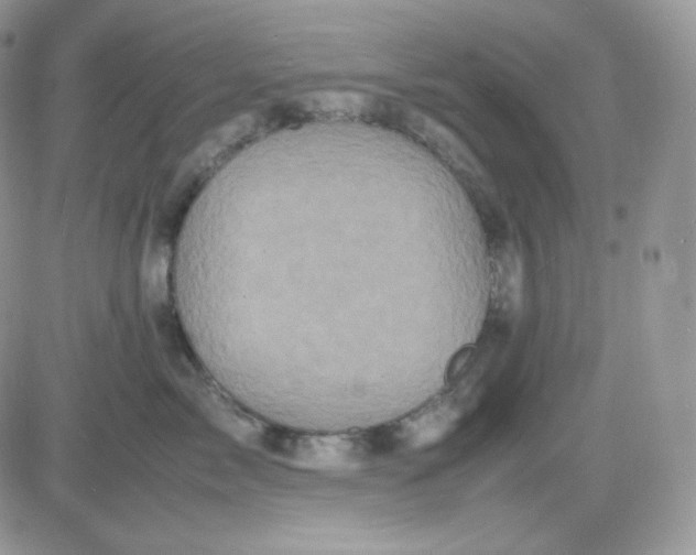 X0000081430717200701261822