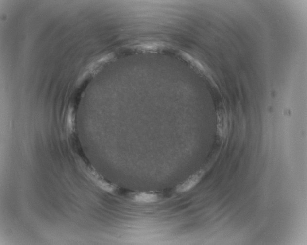 X0000081430718200701261822