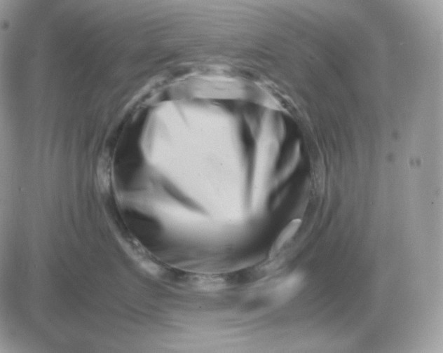 X0000081430719200701261822