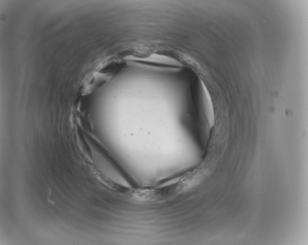 X0000081430720200701261822