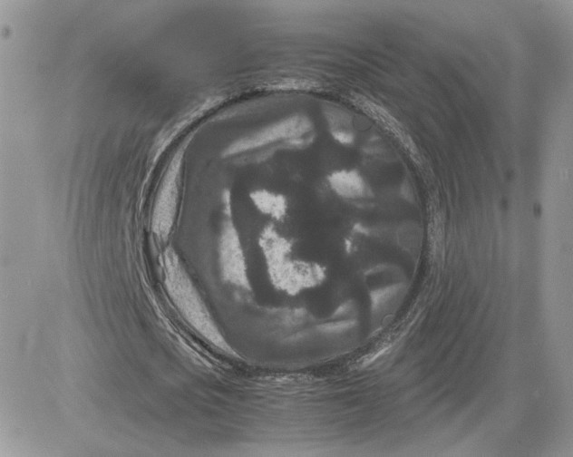 X0000081430721200701261822