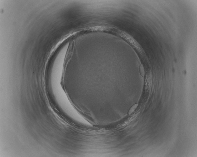 X0000081430722200701261822