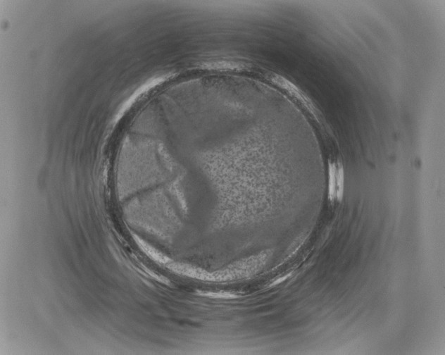 X0000081430723200701261822