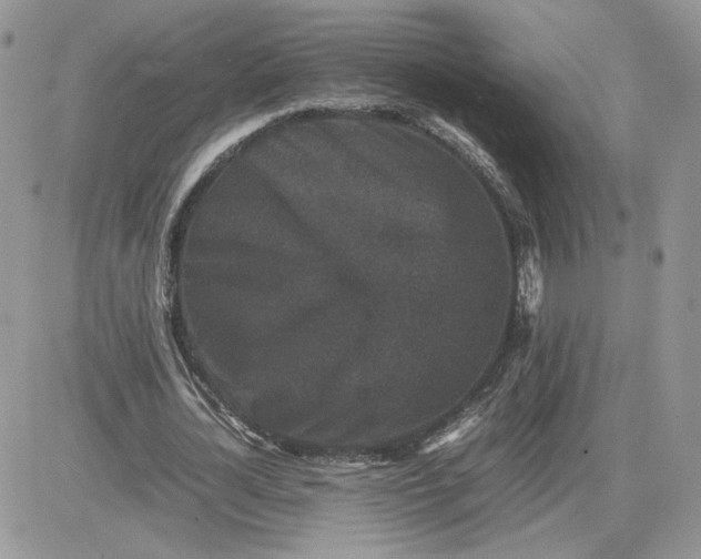 X0000081430724200701261822