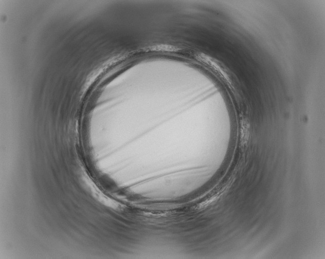 X0000081430725200701261822