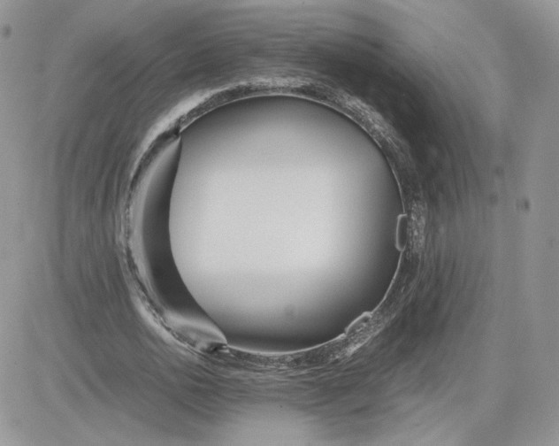 X0000081430726200701261822