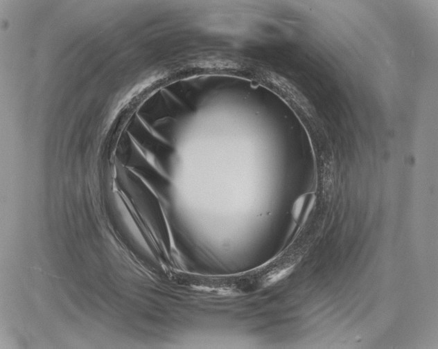 X0000081430727200701261822