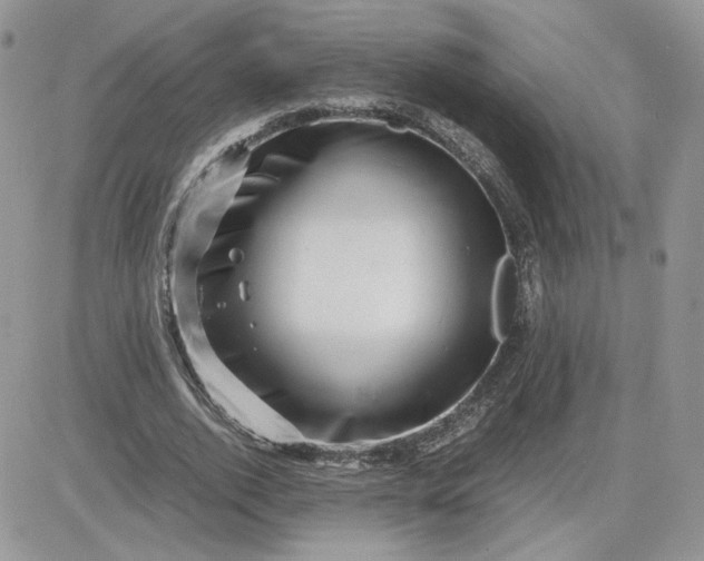 X0000081430728200701261822