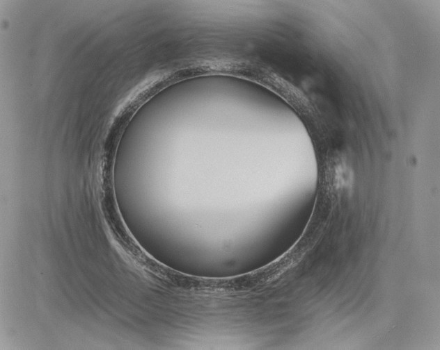 X0000081430730200701261822