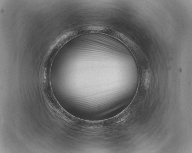 X0000081430731200701261822