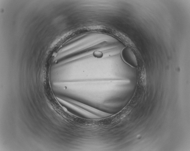 X0000081430732200701261822